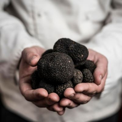 Nobody Knows the Truffles I’ve Seen – Six Restaurants to Celebrate Truffle Season.