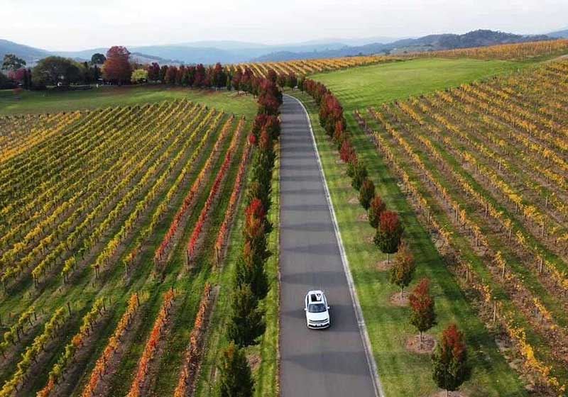 Wine Tourism: Best Vineyard Tours of Australia