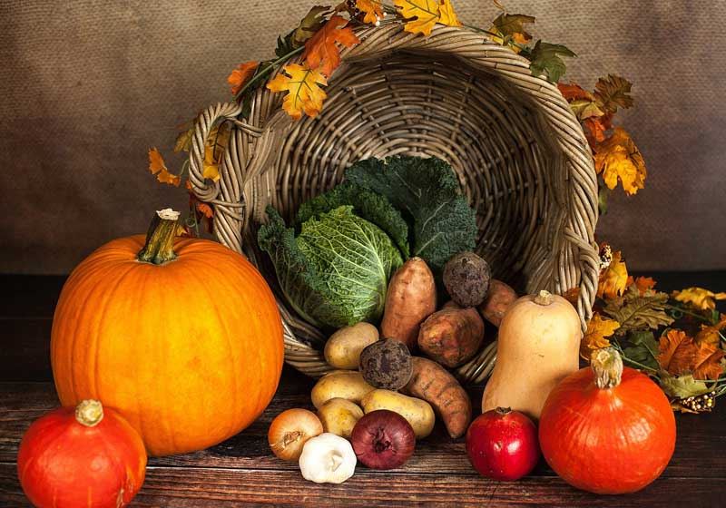 Harvest Good Food, Good Wine and Good Times!