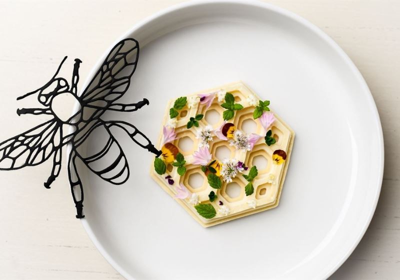 Gastronomic Wonders Await: Chef Connor Bishop Redefines Dining at Bec Hardy Estate