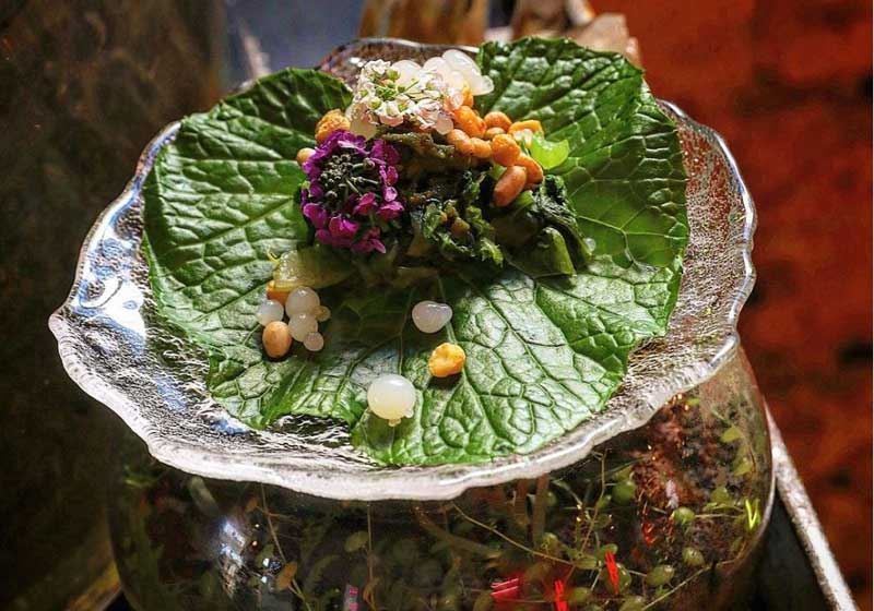 Find Gourmet Greens on the Plate at these 5 Restaurants