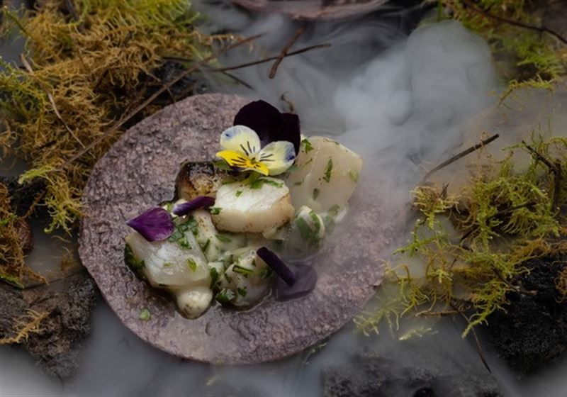 A Clean Kitchen is a Happy Kitchen – Chef Chat with Nelly Robinson