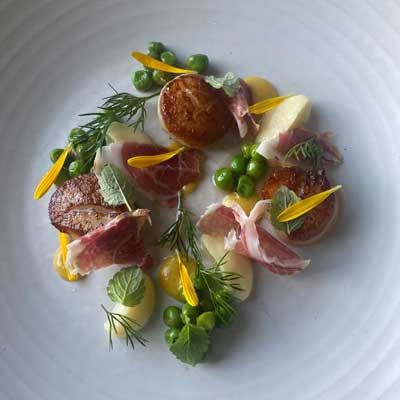Alium Dining